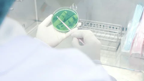 Scientist do the experiment to Green object in laboratory Stock-Footage 158527267