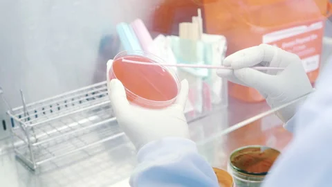 Scientist do the experiment to red object in laboratory Stock Footage 158527648