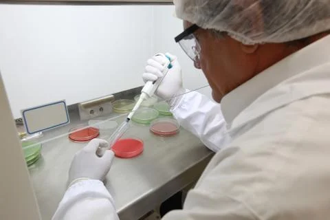 Scientist doing bacterial analysis Stock Photos