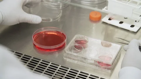 Scientist doing experiment at laboratory Stock Footage 93524791
