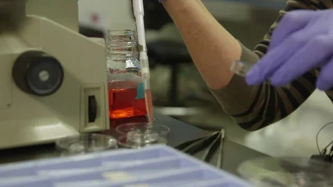 Scientist doing experiment at laboratory Stock-Footage 93529487