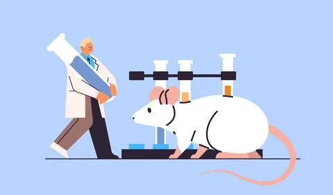 Scientist doing experiments in lab with animal veterinary worker with Stock Illustration