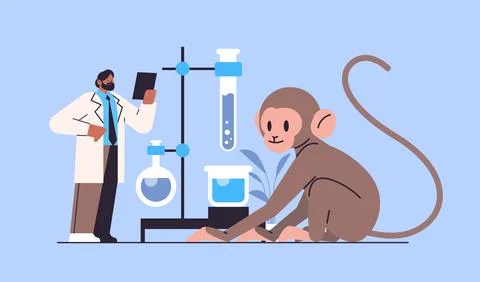Scientist doing experiments in lab veterinary worker with experimental monkey Illustrazione stock