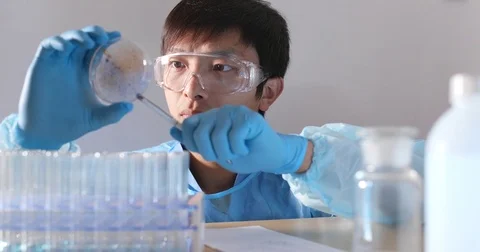 Scientist doing research on bacterial colonies in an opened glass petri dish Stock Footage 84274203