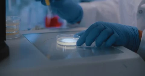 Scientist doing an research work with a petri dish sample, wearing lab gloves. Stock Footage 120964632