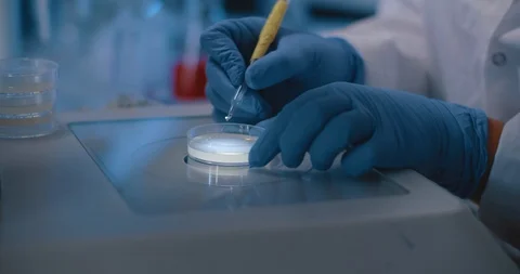 Scientist doing an research work with a petri dish sample, wearing lab gloves. Stock Footage 120966695