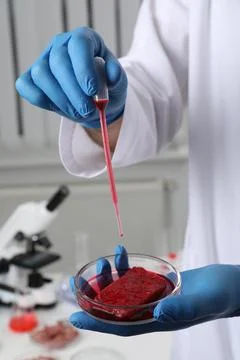 Scientist dripping red liquid into Petri dish with raw cultured meat in labor Stock Photos