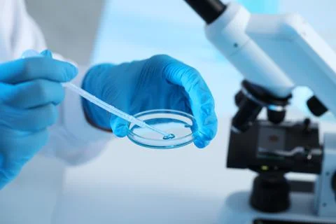 Scientist dripping sample into Petri dish at table, closeup. Medical research Stock Photos
