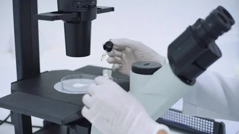 Scientist drop of yellow liquid on plate at microscope	 Stock Footage 134273749