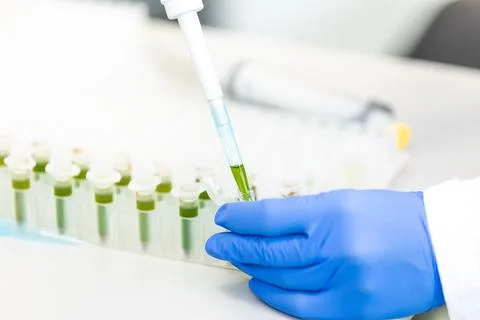 Scientist with dropper dripping liquid into a test tube in scientific laboratory 库存照片