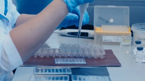 Scientist with dropper working at the laboratory Stock Footage 125557880