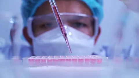 Scientist dropping biochemical solution in to microplate for DNA analysis. Stock Footage 302521274