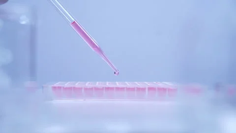 Scientist dropping biochemical solution in to microplate for DNA analysis. Stock Footage 302521994