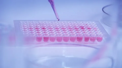 Scientist dropping biochemical solution in to microplate for DNA analysis. Stock Footage 302522128