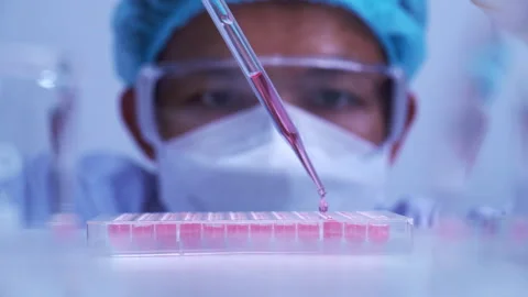 Scientist dropping biochemical solution in to microplate for DNA analysis. Stock Footage 302522132