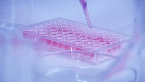 Scientist dropping biochemical solution in to microplate for DNA analysis. Stock Footage 302522238
