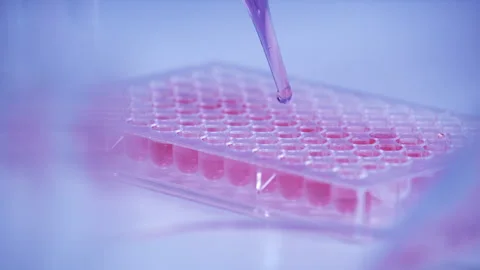 Scientist dropping biochemical solution in to microplate for DNA analysis. Stock Footage 302522370