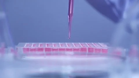 Scientist dropping biochemical solution in to microplate for DNA analysis. Stock Footage 302522379