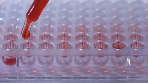 Scientist dropping chemical solution for analyzing in laboratory Stock Footage 90536996
