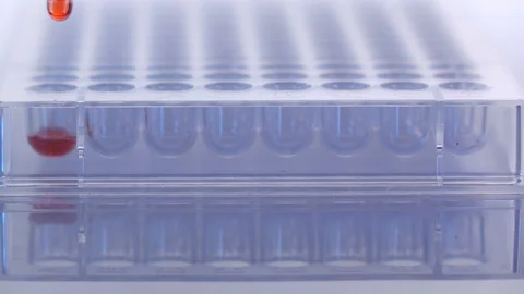 Scientist dropping chemical solution for analyzing in laboratory Stock Footage 90537518