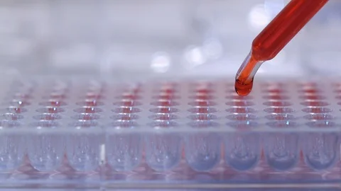 Scientist dropping chemical solution for analyzing :  for testing in laboratory Stock Footage 93011553