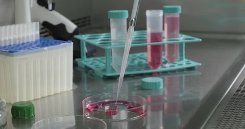 Scientist drops purple liquid sample from a pipette onto Petri dish. Chemicals Stock Footage 265251121