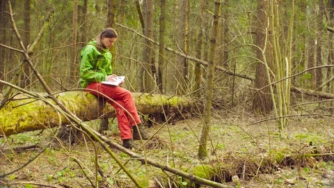 The scientist ecologist during the research. Video stock 88790980