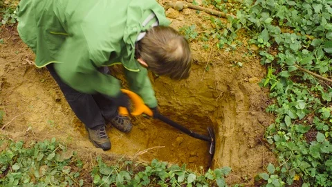 Scientist ecologist in a forest digging soil slit Stock Footage 93715058