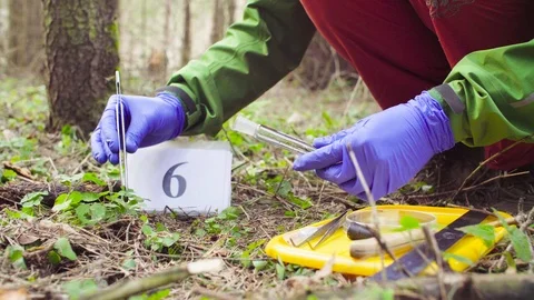 Scientist ecologist in the forest taking samples of plants Video stock 88791014