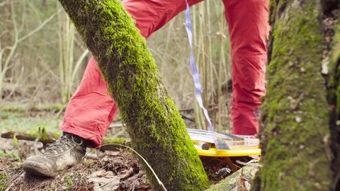 Scientist ecologist in the forest taking samples of plants Video stock 88791321