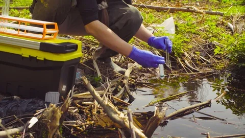 Scientist ecologist in the forest taking samples of water Video stock 89403703