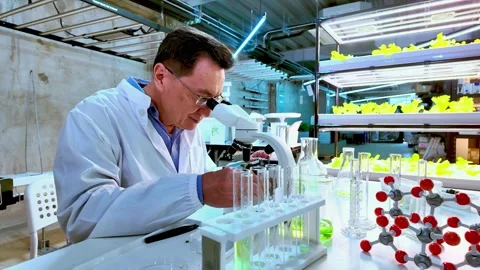 Scientist examines plant sample under microscope in a hydroponic lab. Surro.. Stock-Footage 310721790