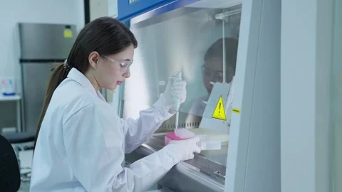 Scientist examines sample under microscope Stock Footage 334735889