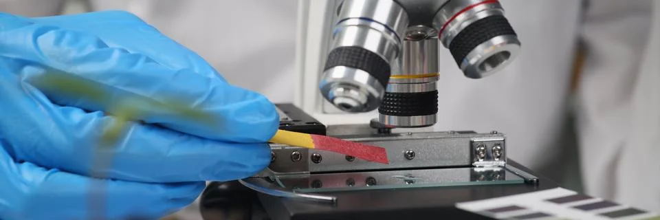 Scientist examines sample under microscope in laboratory Stock Photos