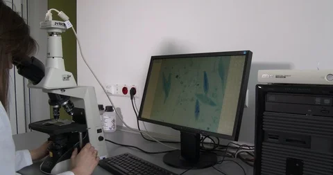 Scientist examines samples under a microscope Stock Footage 126705531