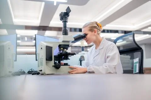 Scientist examines samples under microscope in modern laboratory environment Stock Photos
