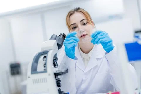 Scientist examines slide under microscope in laboratory setting during daytim Stockfoto's