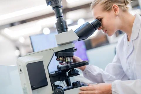 Scientist examines specimen through microscope in laboratory during daytime Stock Photos