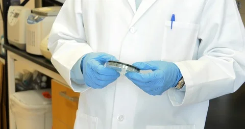 Scientist examines water sample Video stock 114181559