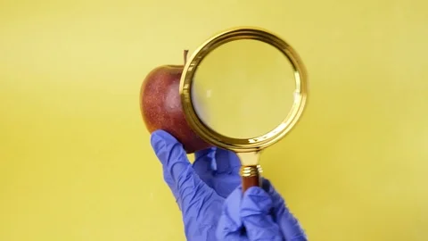 Scientist examining a big red apple, Genetically engineered food concept Stock-Footage 125320770