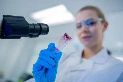 Scientist examining a blood sample under a microscope in a laboratory setting Stock Photos