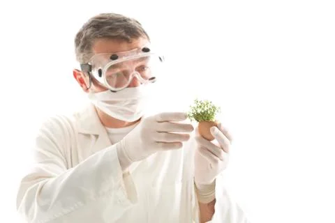 Scientist examining cress in egg shell, close up Stock Photos