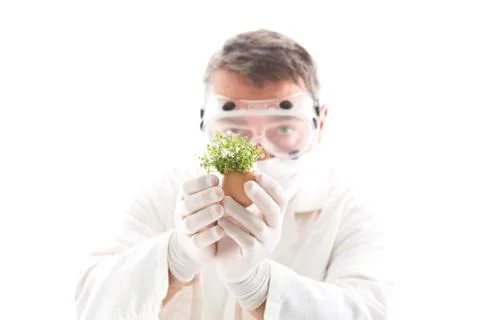 Scientist examining cress in egg shell, close up Stock Photos
