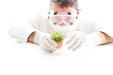 Scientist examining cress in egg shell, close up Stock Photos