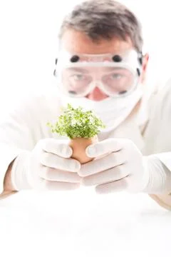 Scientist examining cress in egg shell, close up Stock Photos