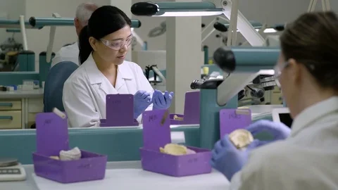 Scientist examining a dental model Stock-Footage 77078601