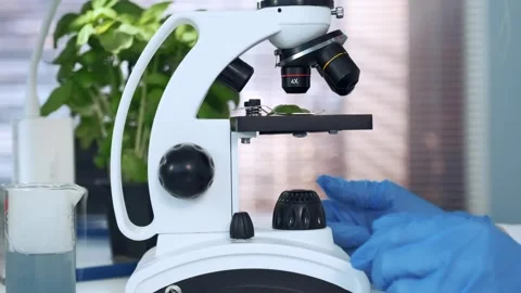 Scientist examining green plant leaf under microscope in laboratory Stock Footage 340982771