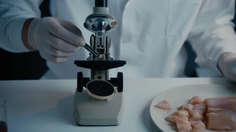 Scientist examining raw chicken meat in laboratory using microscope and testing Vídeo Stock 335779670