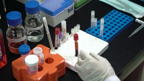 Scientist Examining Sample in Laboratory Stock Footage 127086351