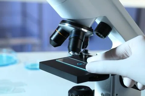 Scientist examining sample of light blue liquid on slide under microscope in  Stock Photos